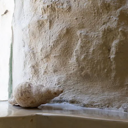 Hub Hospitality * 干尼亞