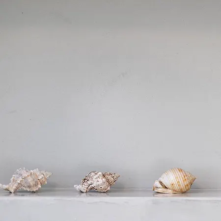 Hub Hospitality خانيا