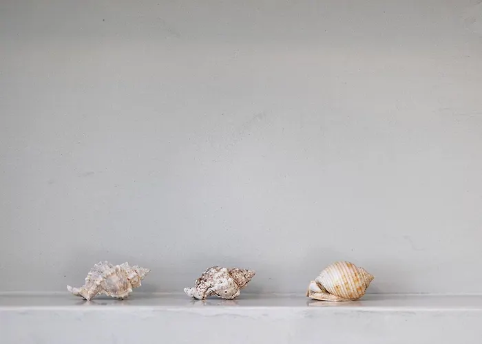 Hub Hospitality ハニア